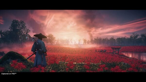 Ghost of Tsushima Director's Cut (PS4) - Image 2